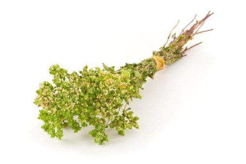Oregano
