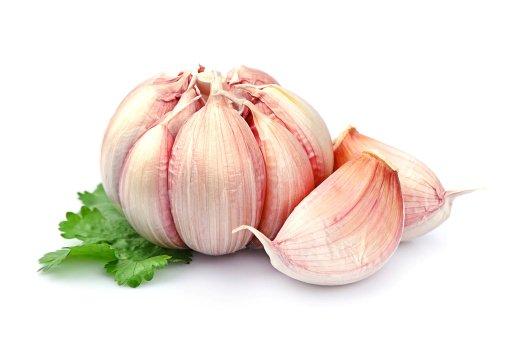 Garlic