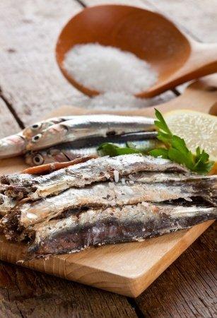 Anchoives Anchoives