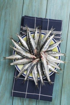 Anchoives