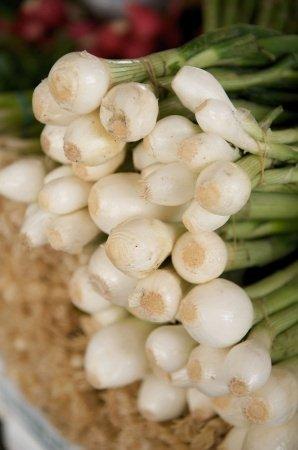 Scallions