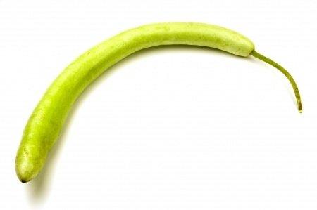 Cucuzza Cucuzza