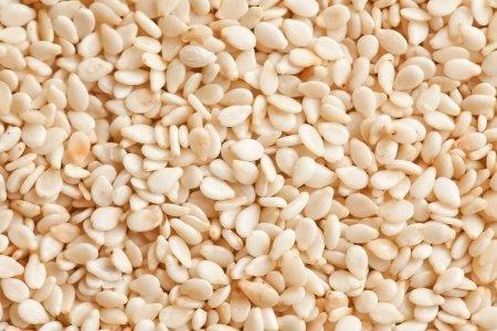 Sesame Seeds