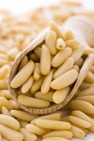 Pine nuts Pine nuts