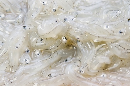 Raw Nunnata - Sfighiata