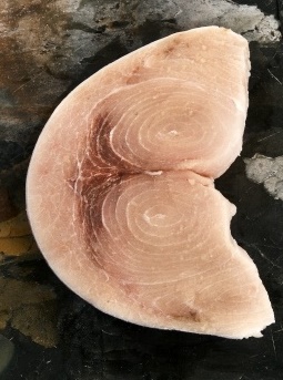 Slice of Swordfish Slice of Swordfish