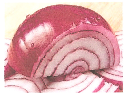 onion onion