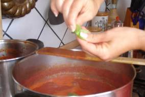 Tomato Sauce Tomato Sauce